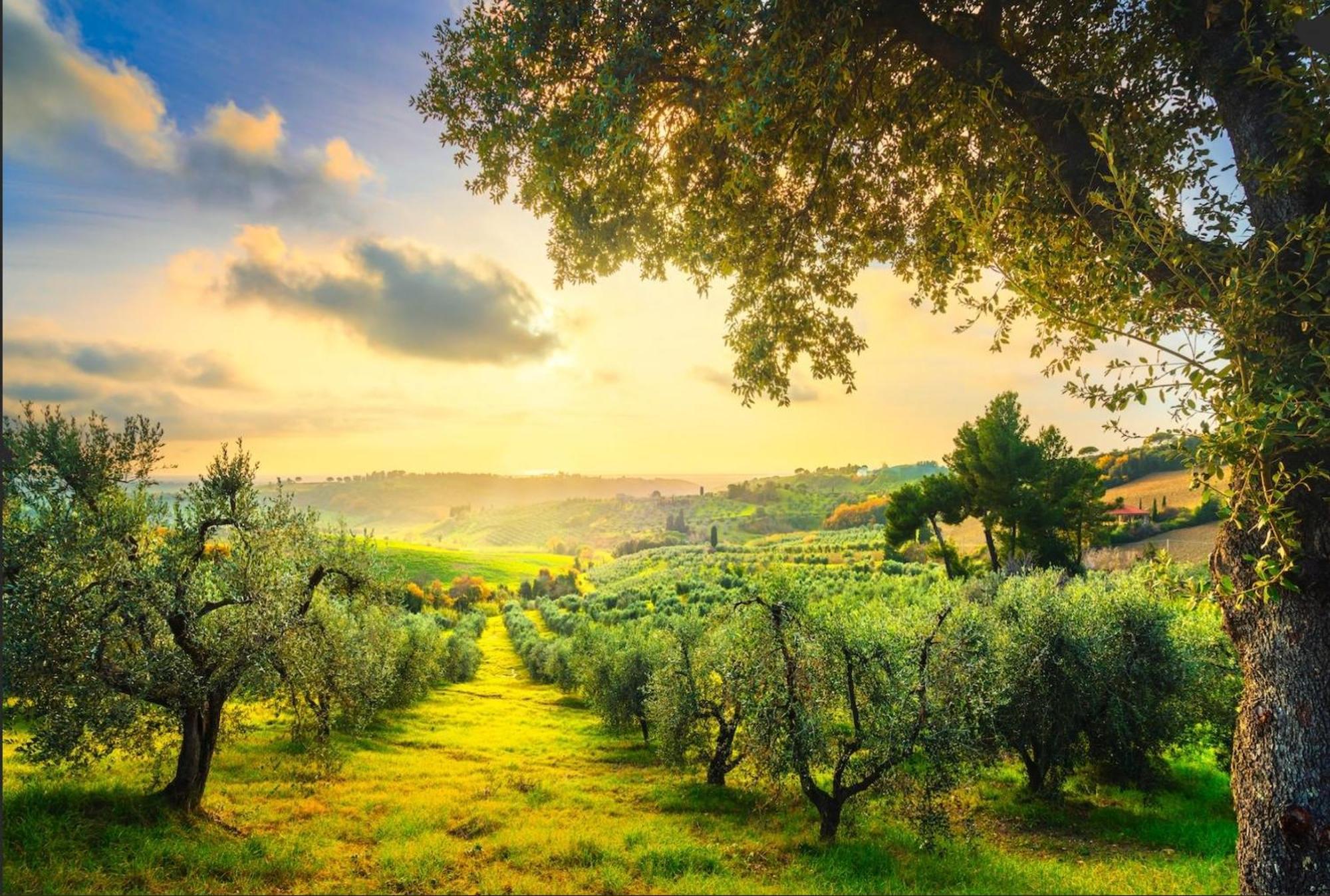 Agriturismo Capricorni Масса-Мариттима Экстерьер фото